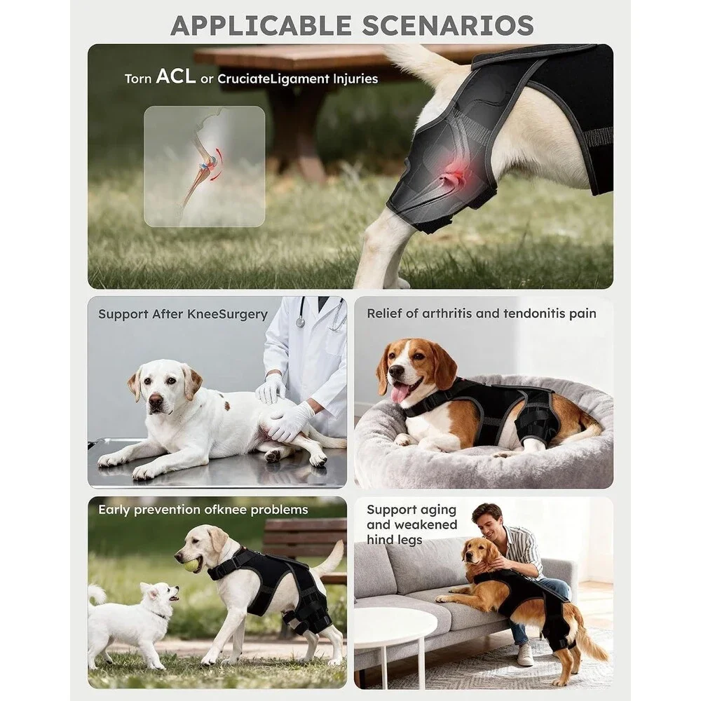 Dog Knee Brace for Torn ACL/CCL Hind Leg, Adjustable Hip Brace-Hip Dysplasia Lg